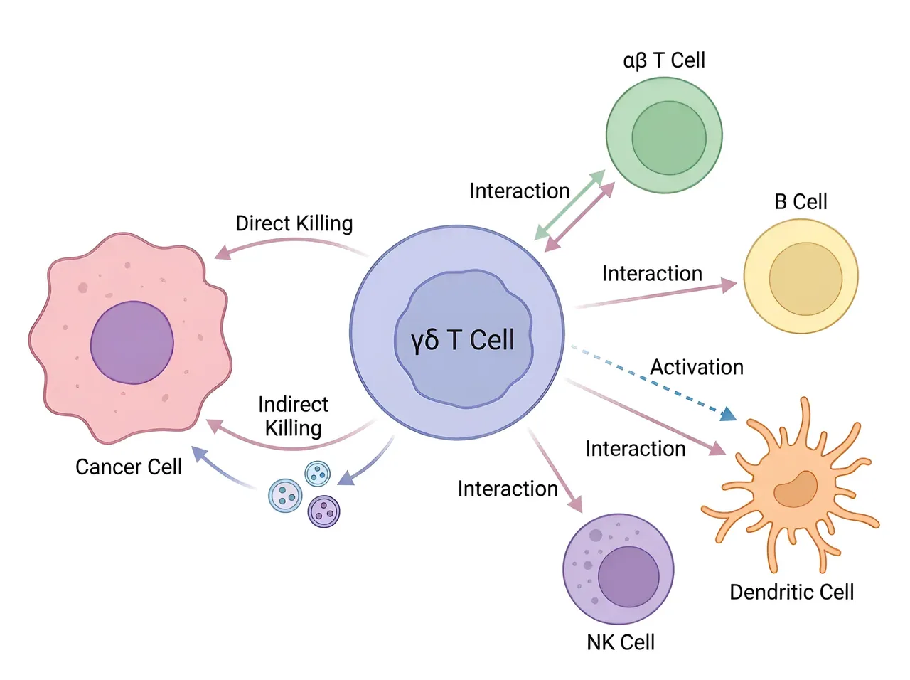 Immunology